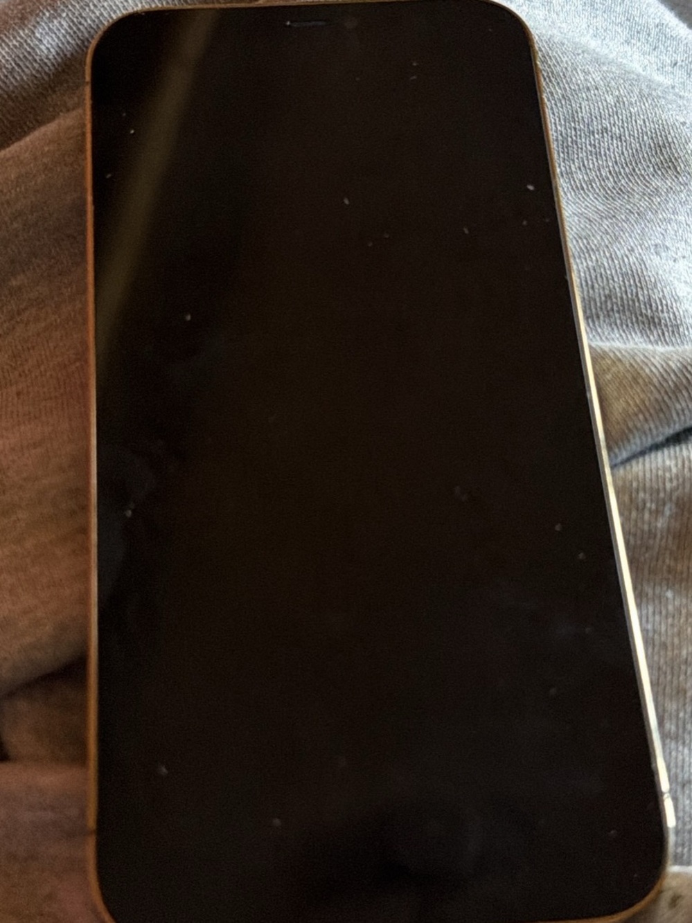 iPhone 12 Pro Max